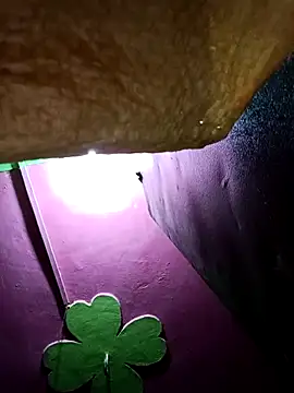 Riyakumari hot66 online show from February 19, 2026, 3:19 pm