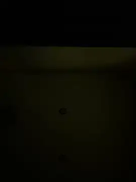 Callmedaddy9 online show from March 17, 2026, 2:38 am