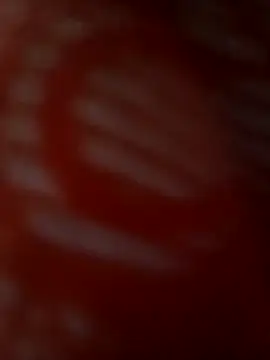 ROMASARKAR online show from March 21, 2026, 12:10 pm