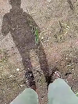 Cute Boy 4 online show from June 5, 2026, 4:41 am
