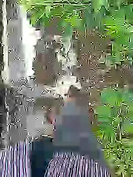 Cute Boy 4 online show from July 16, 2026, 4:29 am