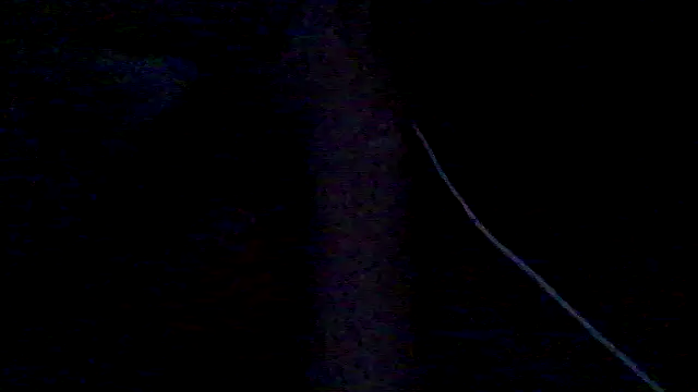 lorraine2036 online show from February 28, 2026, 11:33 am