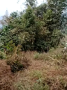 sushi-asa online show from February 24, 2026, 1:47 am