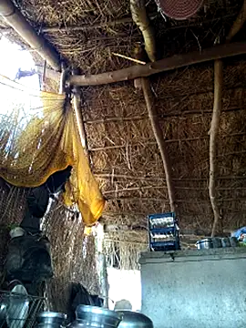 Hotty raghni online show from March 9, 2026, 3:21 am