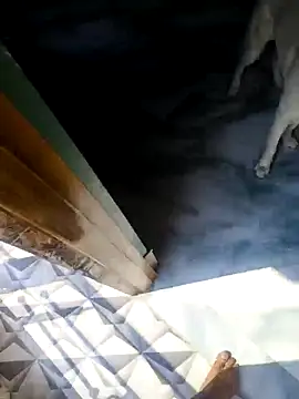 rubitrides11 online show from February 18, 2026, 6:09 am