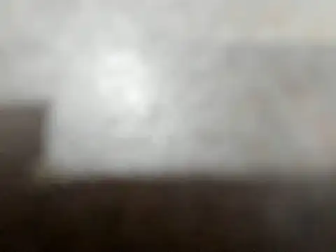 camila wood online show from June 11, 2026, 2:53 am