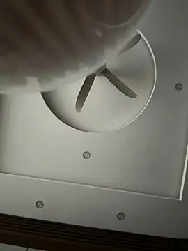 czamabe online show from February 19, 2026, 10:00 am