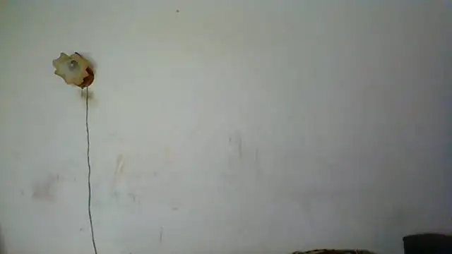 NickiKisinger online show from May 16, 2026, 6:32 am