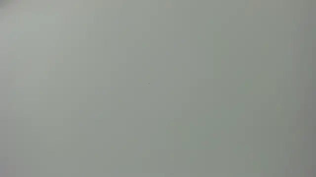 Raven love online show from April 28, 2026, 5:18 pm