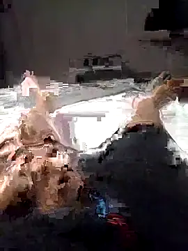 Al-Hari online show from February 4, 2026, 4:13 pm