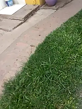 gordorichard online show from February 4, 2026, 4:46 pm