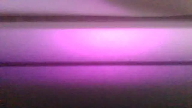 Snapshot of kaimsdecadus555 chatting on February 12, 2026, 11:55 pm kaimsdecadus555 online show from February 12, 2026, 11:55 pm