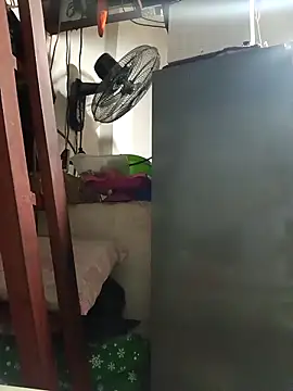 Wildcam21 online show from February 19, 2026, 4:30 am