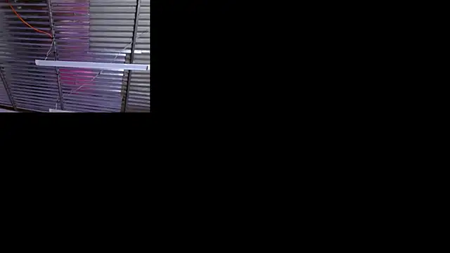 sophi and coby online show from May 2, 2026, 5:12 am