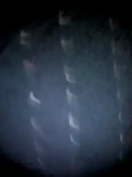 BIG QWEEN NO1 online show from March 12, 2026, 10:49 pm