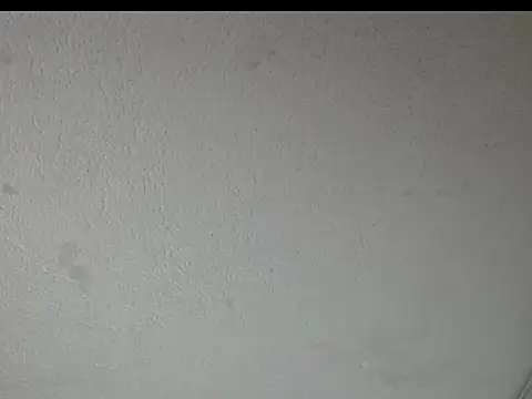 peytonbrunette online show from March 23, 2026, 5:22 am