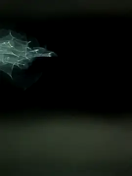 maharashtra boy mh19 online show from March 18, 2026, 8:45 pm