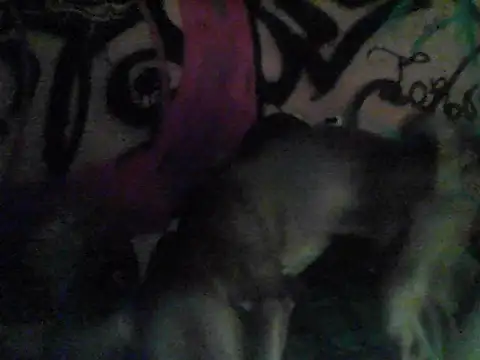 toropf online show from March 15, 2026, 12:33 pm