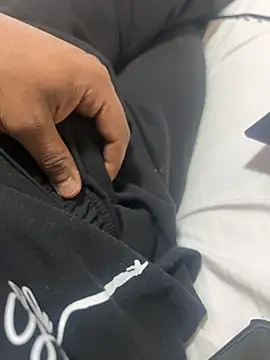 bhagihero online show from February 19, 2026, 8:38 pm