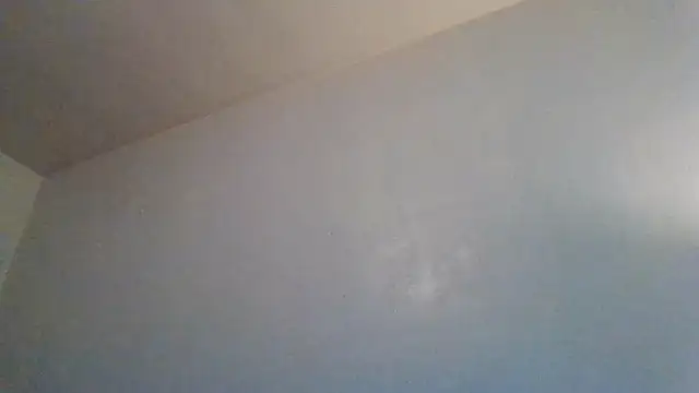 Tallhungandcloudy online show from February 19, 2026, 8:27 pm