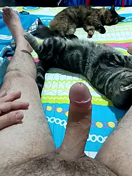 JFC161612 online show from April 7, 2026, 6:14 am