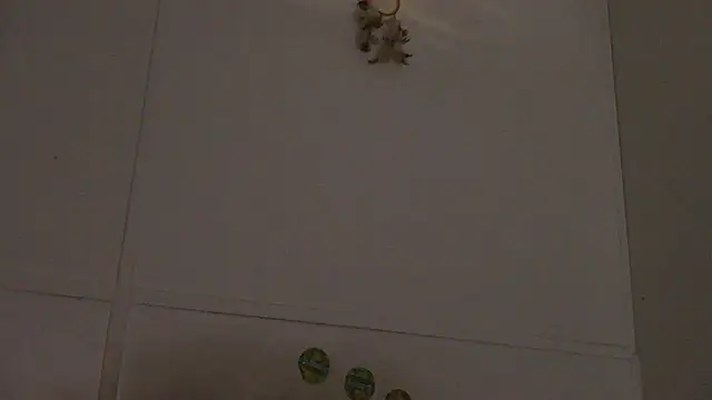 pbilip7787 online show from February 28, 2026, 10:00 pm