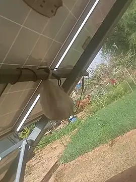 mastmalai online show from March 17, 2026, 4:39 am