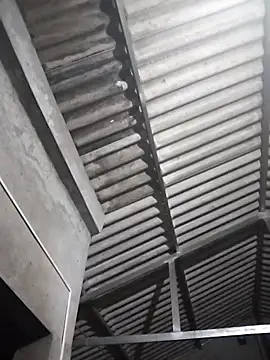 Baby flower 1 online show from March 17, 2026, 5:00 am