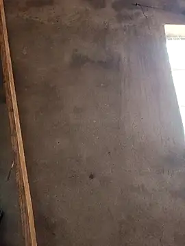 mollyboydick online show from March 8, 2026, 10:30 am