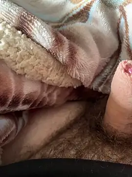 Snapshot of D4n13l47 chatting on March 5, 2026, 10:33 am D4n13l47 online show from March 5, 2026, 10:33 am