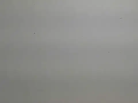 Snapshot of risu_00 chatting on March 6, 2026, 3:30 pm risu 00 online show from March 6, 2026, 3:30 pm