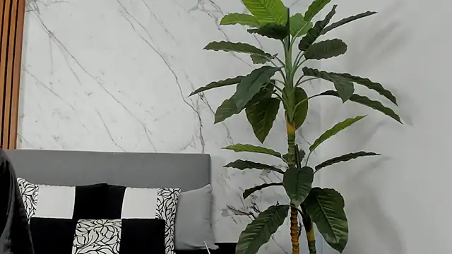 Snapshot of Amara_Velvet_ chatting on July 14, 2026, 9:53 pm Amara Velvet online show from July 14, 2026, 9:53 pm