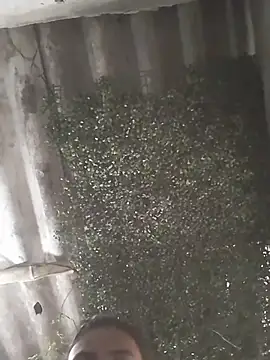 mar coral2 online show from March 9, 2026, 2:43 pm