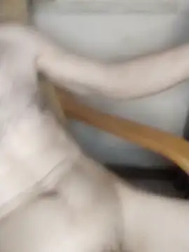 AndrewXSkyp online show from March 17, 2026, 10:24 pm