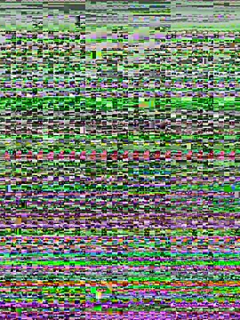 Snapshot of kana_0012 chatting on March 7, 2026, 12:51 am kana 0012 online show from March 7, 2026, 12:51 am