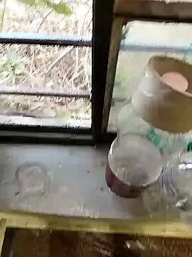 blackbeauty321 online show from February 26, 2026, 11:20 am