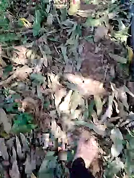 blackbeauty321 online show from March 3, 2026, 9:04 am