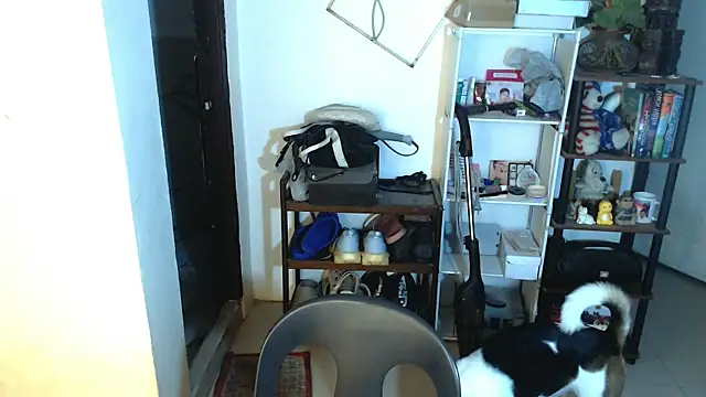 sweetasian zoe online show from May 2, 2026, 4:12 pm