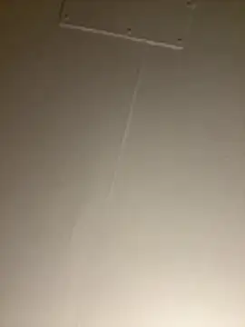 BunnyYT online show from July 31, 2026, 7:41 am