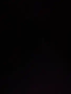 BunnyYT online show from August 3, 2026, 2:33 pm