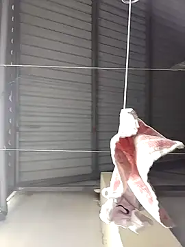 Jinnie sexy online show from March 7, 2026, 5:37 am