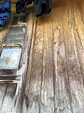 Vena-beauty online show from March 19, 2026, 1:31 am