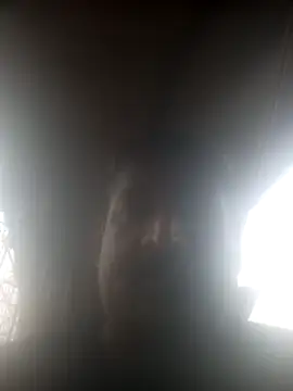 siva6703 online show from March 7, 2026, 9:50 am