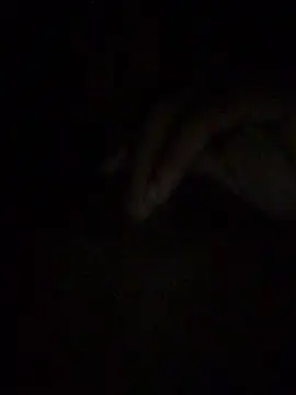 Snapshot of gostinhopauzudo chatting on March 22, 2026, 3:21 am gostinhopauzudo online show from March 22, 2026, 3:21 am