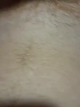 TheChavyGinge online show from March 18, 2026, 2:47 am