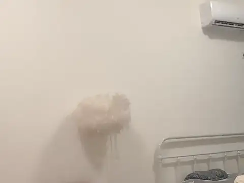 zz16888 online show from March 16, 2026, 2:10 pm