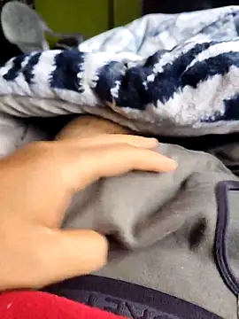 Snapshot of bigdick_0_7 chatting on March 20, 2026, 6:29 am bigdick 0 7 online show from March 20, 2026, 6:29 am