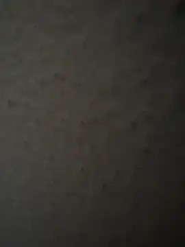 Snapshot of MIABCDZ chatting on May 12, 2026, 1:58 am MIABCDZ online show from May 12, 2026, 1:58 am
