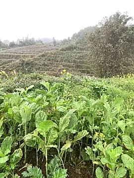 Annhiene online show from March 11, 2026, 3:23 am