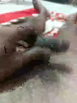 raja 418142 online show from March 19, 2026, 10:08 am